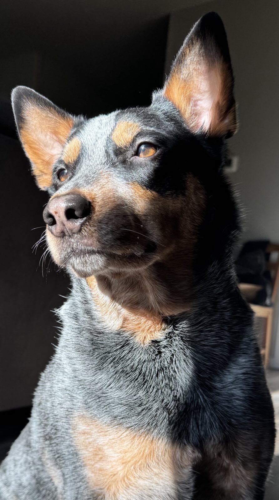 Nerys looking into the distance