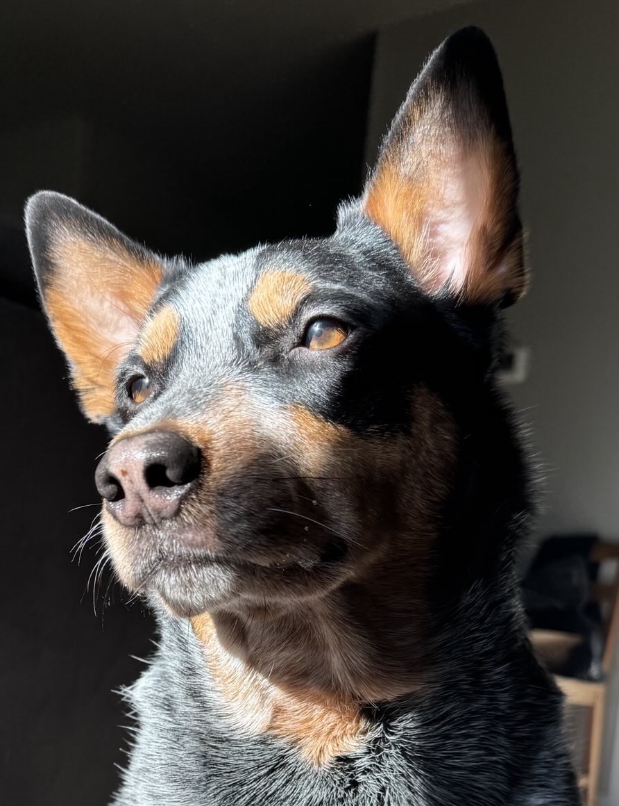 Nerys looking into the distance
